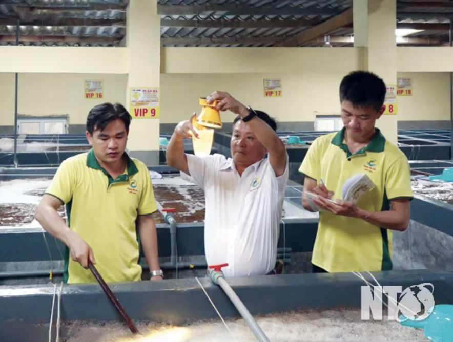 La industria de la acuicultura apunta al desarrollo sostenible